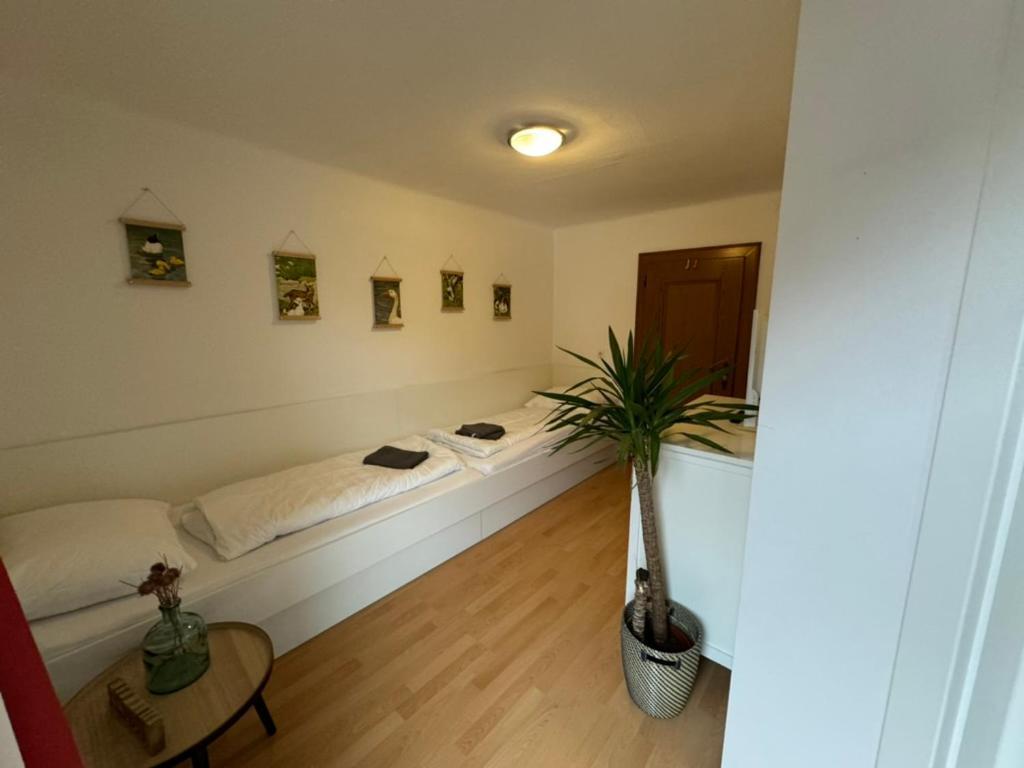 Go For Mountains Appartements Eben Im Pongau Kültér fotó